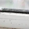 Black Lines in Your Windows? What Butyl Strip Failure Means for Your Vancouver Island Home